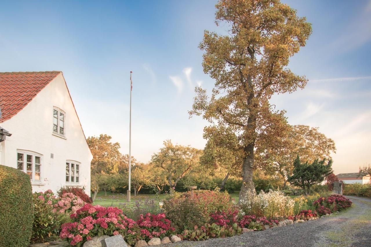 Sjaelegard Countryside Lodge Allinge-Sandvig ภายนอก รูปภาพ
