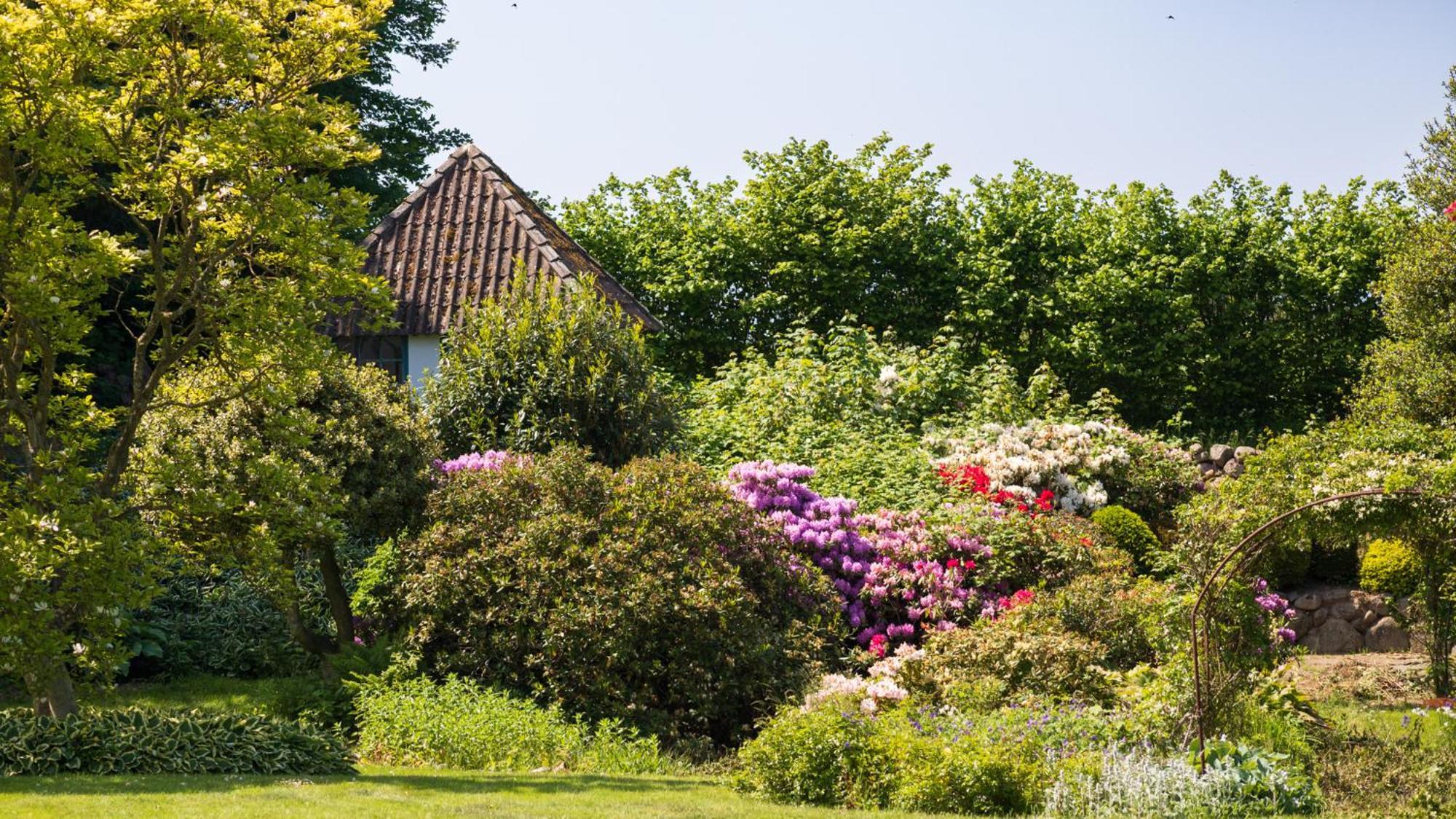 Sjaelegard Countryside Lodge Allinge-Sandvig ภายนอก รูปภาพ